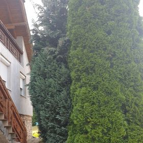 Gesztenye Apartman Úrkút