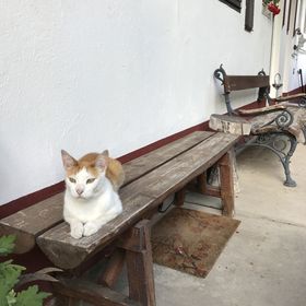 Anyós Vendégház Szigetszentmárton