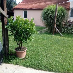 Relax Apartman Nagykanizsa