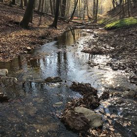 Virág Varázs Vendégház Nagymányok