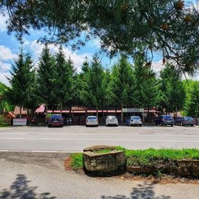 Pensiunea La Pădure Brebu