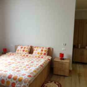 Pensiunea Micul Paradis Medieșu Aurit