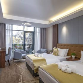 Willis Hotel Business & Wellness Zalaegerszeg