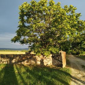 Tusculanum Vendégház Mindszentkálla
