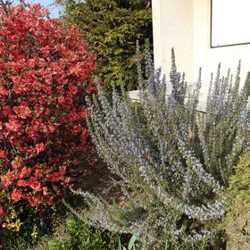 Hello Vonyarc Vendégház Vonyarcvashegy