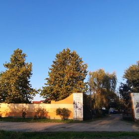 Torony Lovarda Magánszállás Kiskunfélegyháza