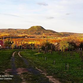 Ágnes Almái Présház Kisapáti