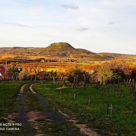 Ágnes Almái Présház Kisapáti