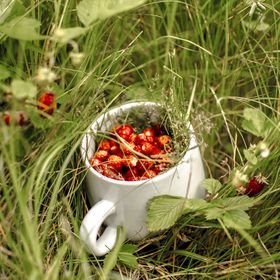 Dom Gościnny Poziomkowa 5 Szczyrk