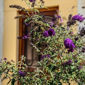 Pataki Porta Apartmanház Balatonederics