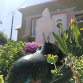 Levendula Vendégház Szászvár