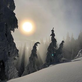 Apartament Happy Place Poiana Brașov