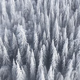 Apartament Happy Place Poiana Brașov