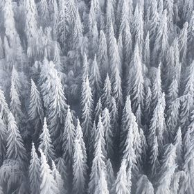 Apartament Happy Place Poiana Brașov