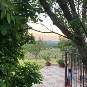 Becce-hegyi Vendégház Dörgicse