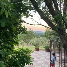 Becce-hegyi Vendégház Dörgicse