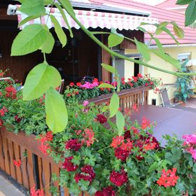 Fészek Vendégház Bükkszék