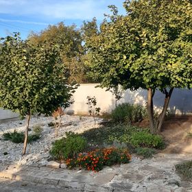 Bakony Kuckó Vendégház Olaszfalu