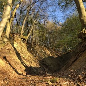 Heted 7 Panzió Szuha