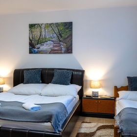 Teri Néni Vendégház Baskó