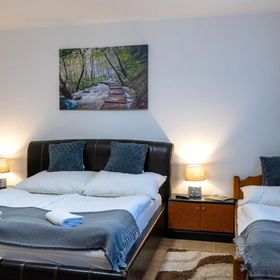 Teri Néni Vendégház Baskó