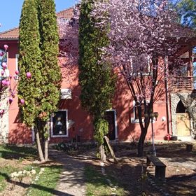 Fairyland Luxury Villa Valea Nandrii