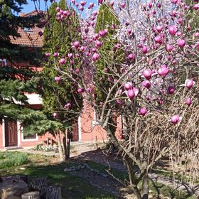 Fairyland Luxury Villa Valea Nandrii