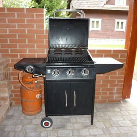 Casa de oaspeți Dusinszky Ildikó Șicasău