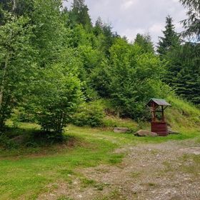 Cabana Green House Gheorgheni