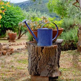 Holiday House Sunshine Jelsa