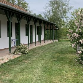 Pitypang Vendégház Megyer