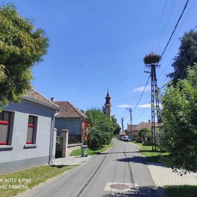 Luis Gólyás Háza Raposka