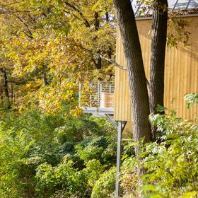 Sárga Rigó Noszvaj