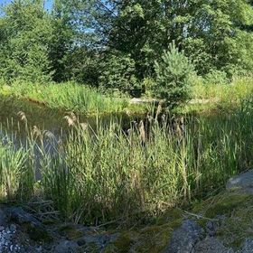 Apartmány u Michala Stachy