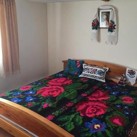 Cabana Coasta cu Izvoare Borșa