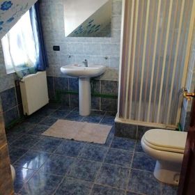 Pensiunea Mario Curtici