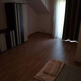 Pensiunea Casa Andrei Merișani