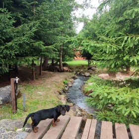 Cabana Súgótöve Izvoare