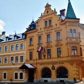 Hotel U Bílého Koně Loket