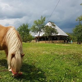 Căsuța din Grădina Breb