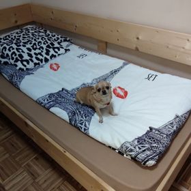  Orsi Szálláshelyek Kecskemét