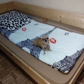  Orsi Szálláshelyek Kecskemét