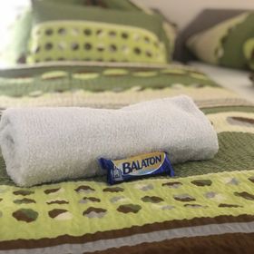 Anna Apartman Látrány