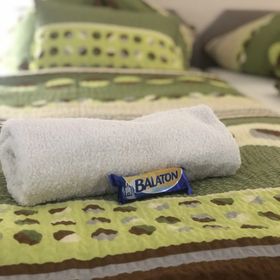 Anna Apartman Látrány