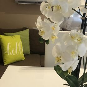 Anna Apartman Látrány