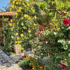 Luxury Apartment Marin Pomer