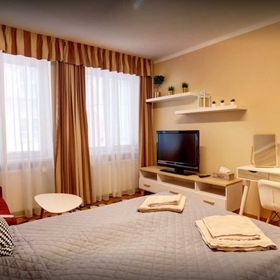 Old Town Apartment Cheb