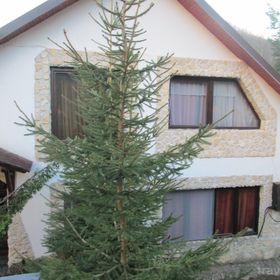 Vila Steaua Nordului Vânători