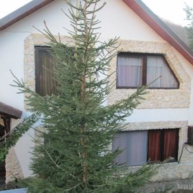 Vila Steaua Nordului Vânători