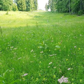 Cabana Poiana Dealu Frumos